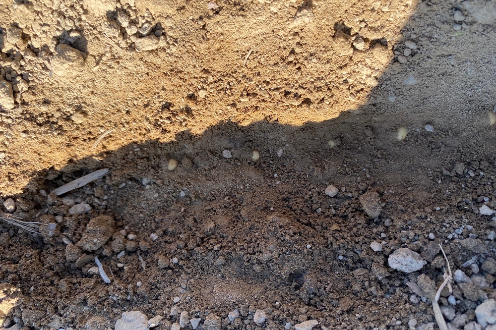 Lohnunternehmen Freund